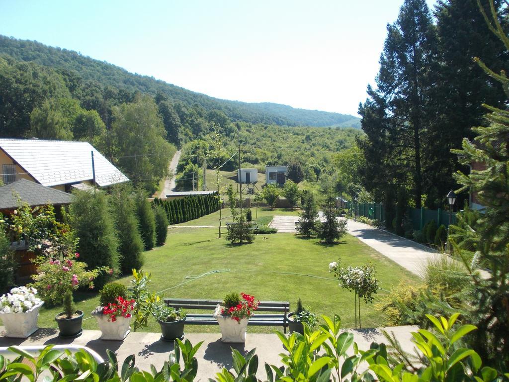 Kuca Za Odmor "Karalic" Bed & Breakfast Ležimir Dış mekan fotoğraf