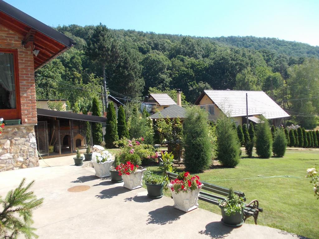 Kuca Za Odmor "Karalic" Bed & Breakfast Ležimir Dış mekan fotoğraf