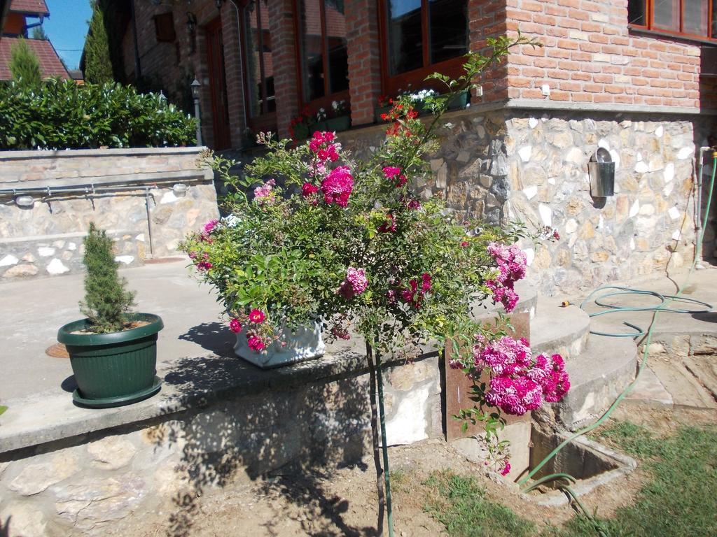 Kuca Za Odmor "Karalic" Bed & Breakfast Ležimir Dış mekan fotoğraf