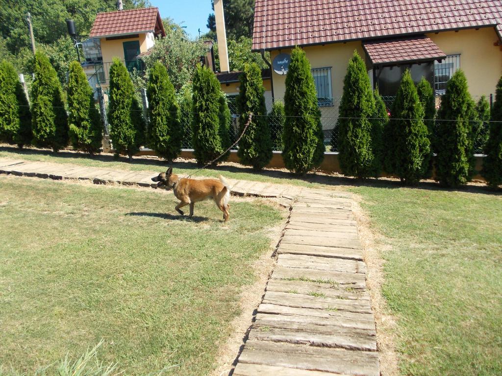 Kuca Za Odmor "Karalic" Bed & Breakfast Ležimir Dış mekan fotoğraf